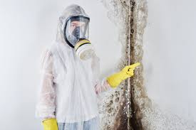  Maria Stein, OH Mold Removal Services Pros